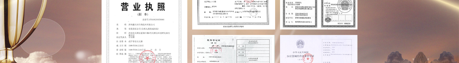  欧莱博恒温摇床